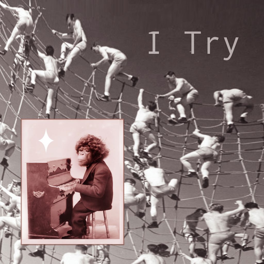 “I Try” by Adam Janos