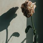 “Let Summer Come Around” by The War Of The Flowers