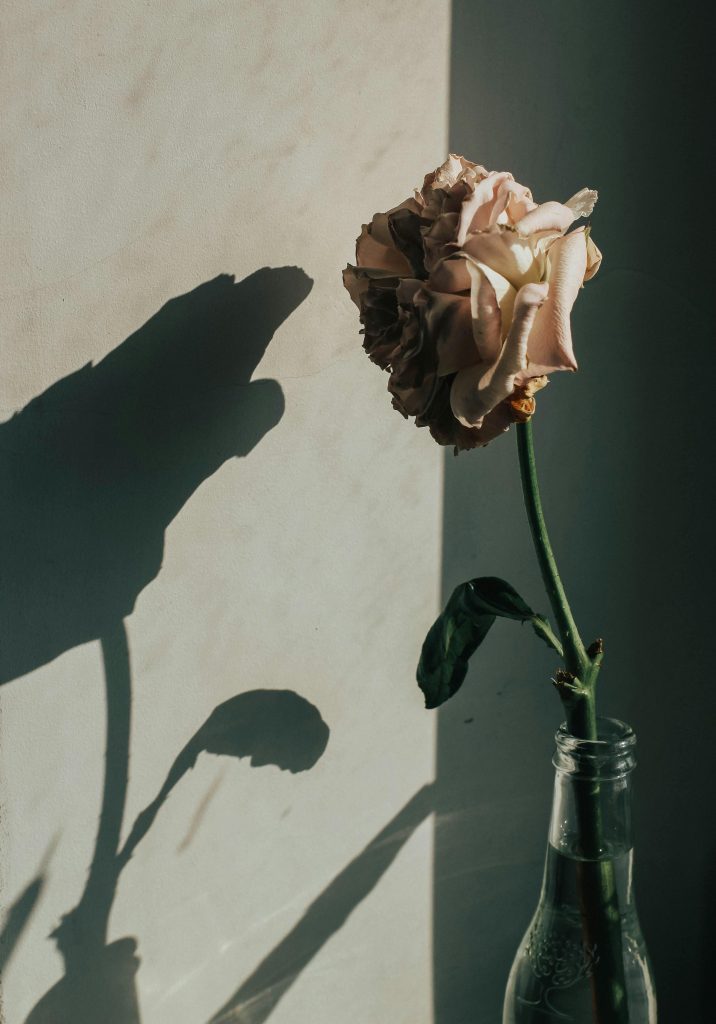 “Let Summer Come Around” by The War Of The Flowers